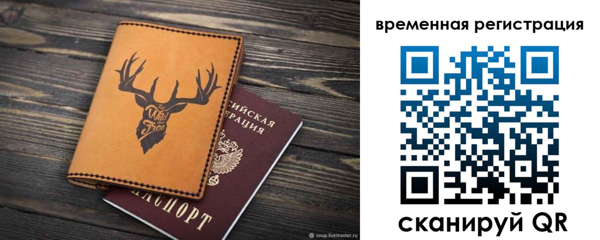 прописка в Курске