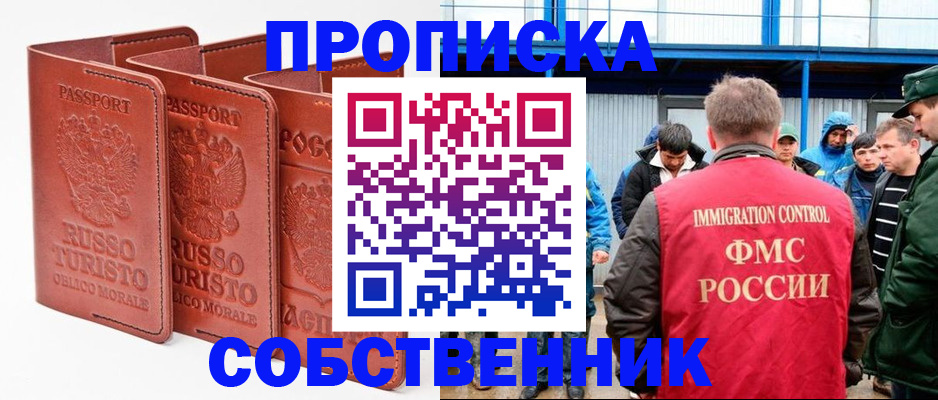 прописка поиск в Курске